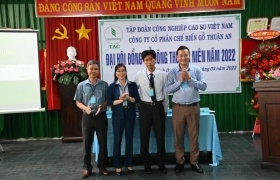 Ông Trịnh Xuân Tiến giữ chức Chủ tịch Hội đồng quản trị Gỗ Thuận An.