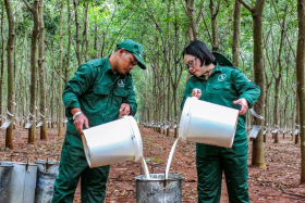 Giữ vững “trận địa tư tưởng”, tạo đồng thuận xã hội – nhân tố quyết định thành công trong sắp xếp, sáp nhập doanh nghiệp nhà nước